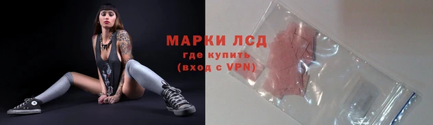 ГАЛЛЮЦИНОГЕННЫЕ ГРИБЫ Абаза