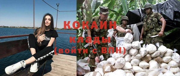 ГАЛЛЮЦИНОГЕННЫЕ ГРИБЫ Абаза