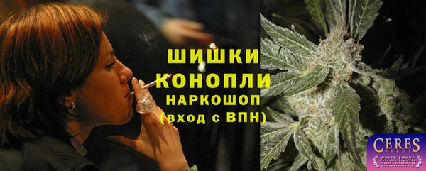 ГАЛЛЮЦИНОГЕННЫЕ ГРИБЫ Абаза