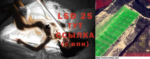 ГАЛЛЮЦИНОГЕННЫЕ ГРИБЫ Абаза