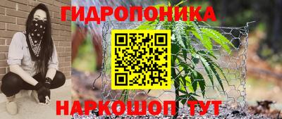 PSILOCYBIN Кингисепп