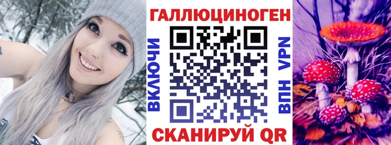 Галлюциногенные грибы Psilocybe  Кудымкар 